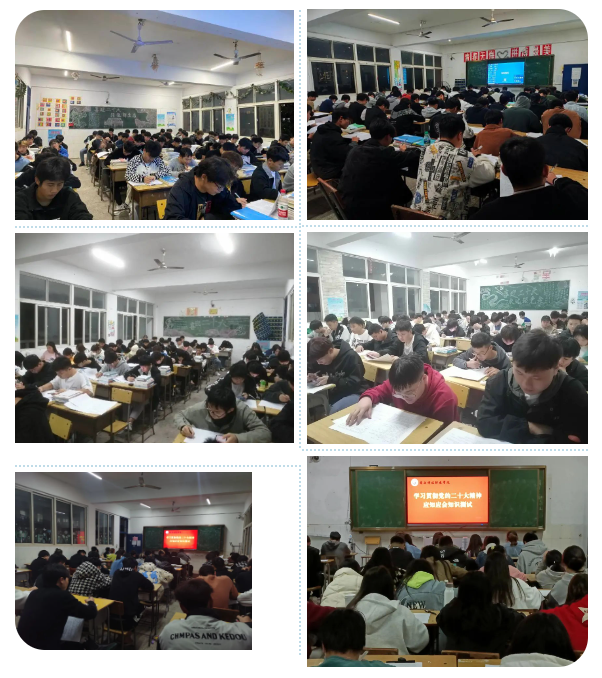 1669000744141240.jpg 13.jpg