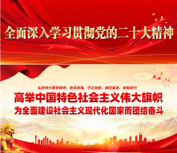 1669000779659474.jpg 14.jpg