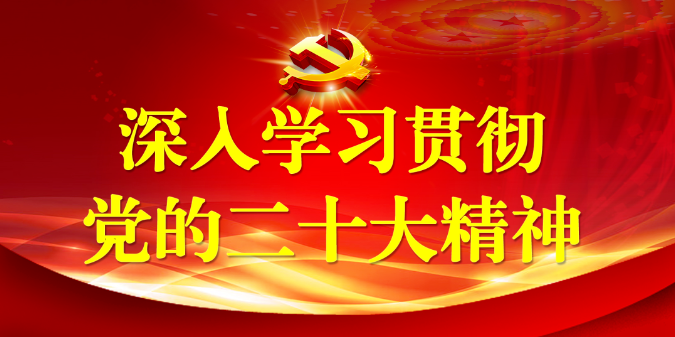 1669612259646769.jpg 1.jpg