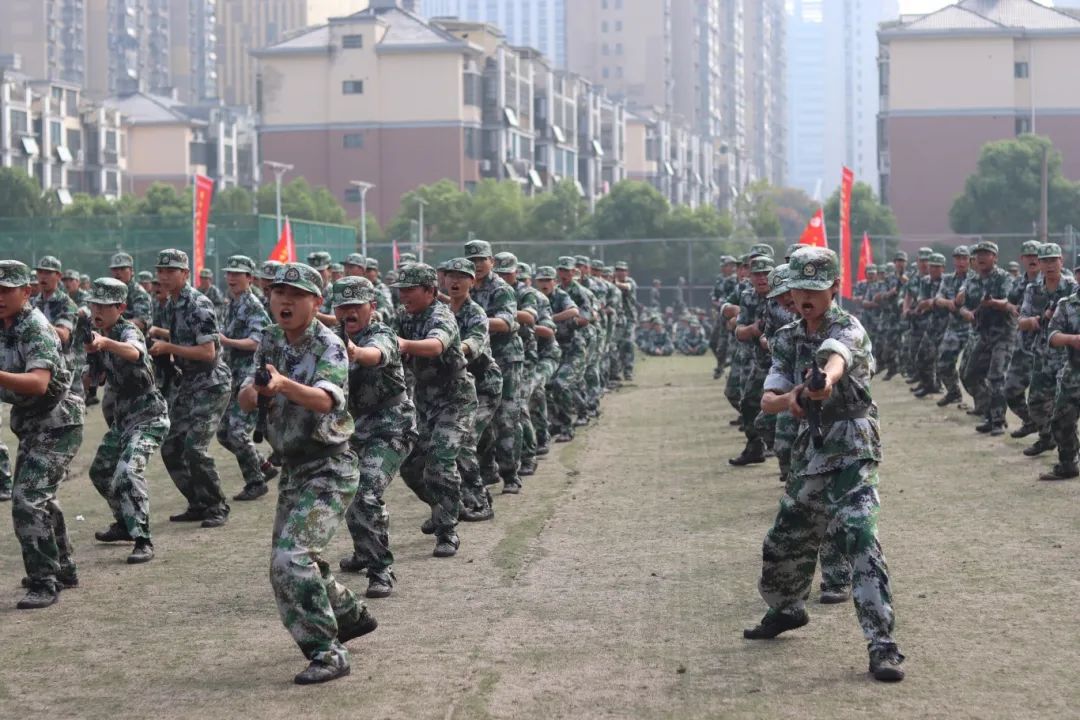 1727507754732586.jpg 1727507754732586.jpg