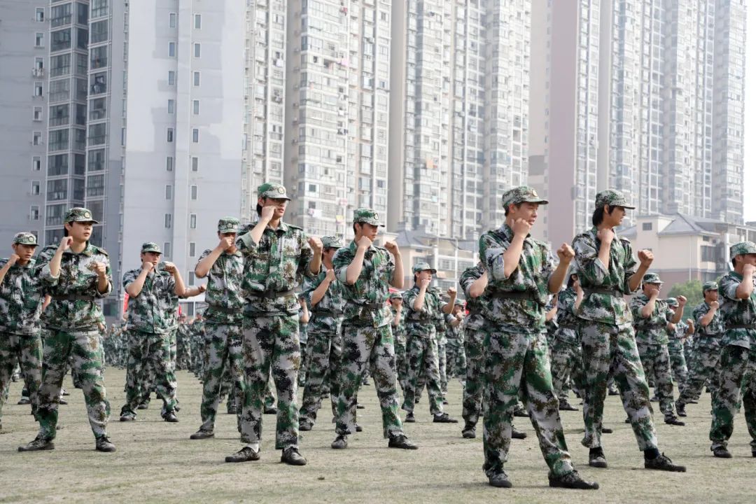 1727507800593321.jpg 1727507800593321.jpg