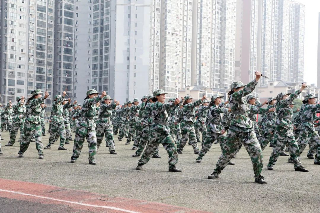 1727507839614103.jpg 1727507839614103.jpg