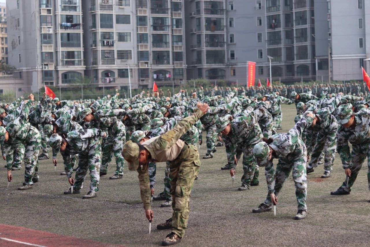 1727507848606523.jpg 1727507848606523.jpg