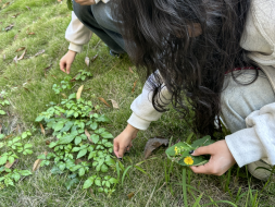 1764296930598145.png image.png