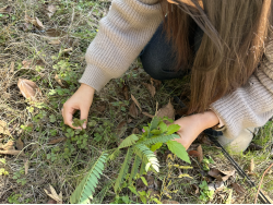 1764296941386856.png image.png