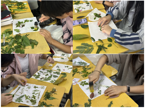 1764296976528164.png image.png