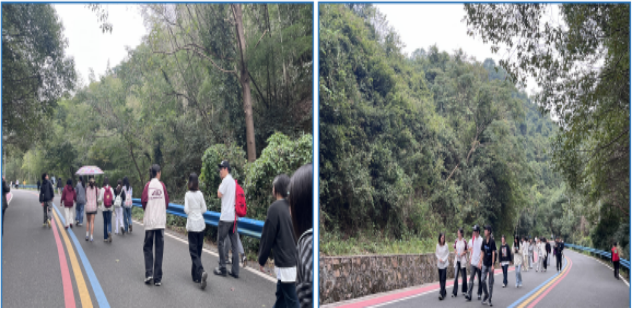 1765245222351114.png 1765245222351114.png