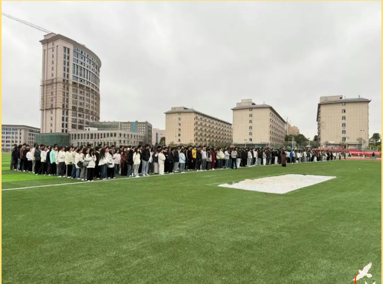 1765268830918313.png image.png