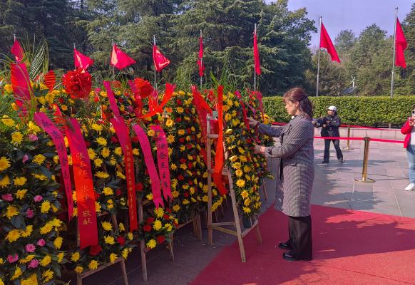 1767106674684043.jpg 1767106674684043.jpg