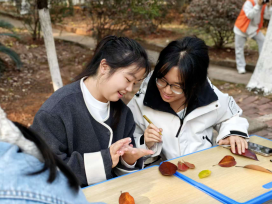 1767665617771063.png image.png