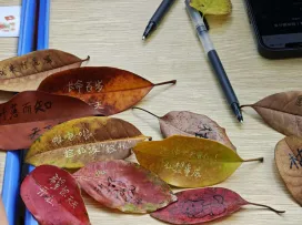 1767665641125249.png image.png