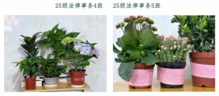 625818ec-4ae3-4dc2-8cf6-cb4b97dab285.png